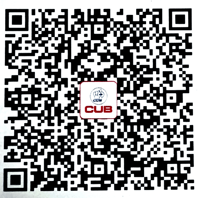 UPI QR Code